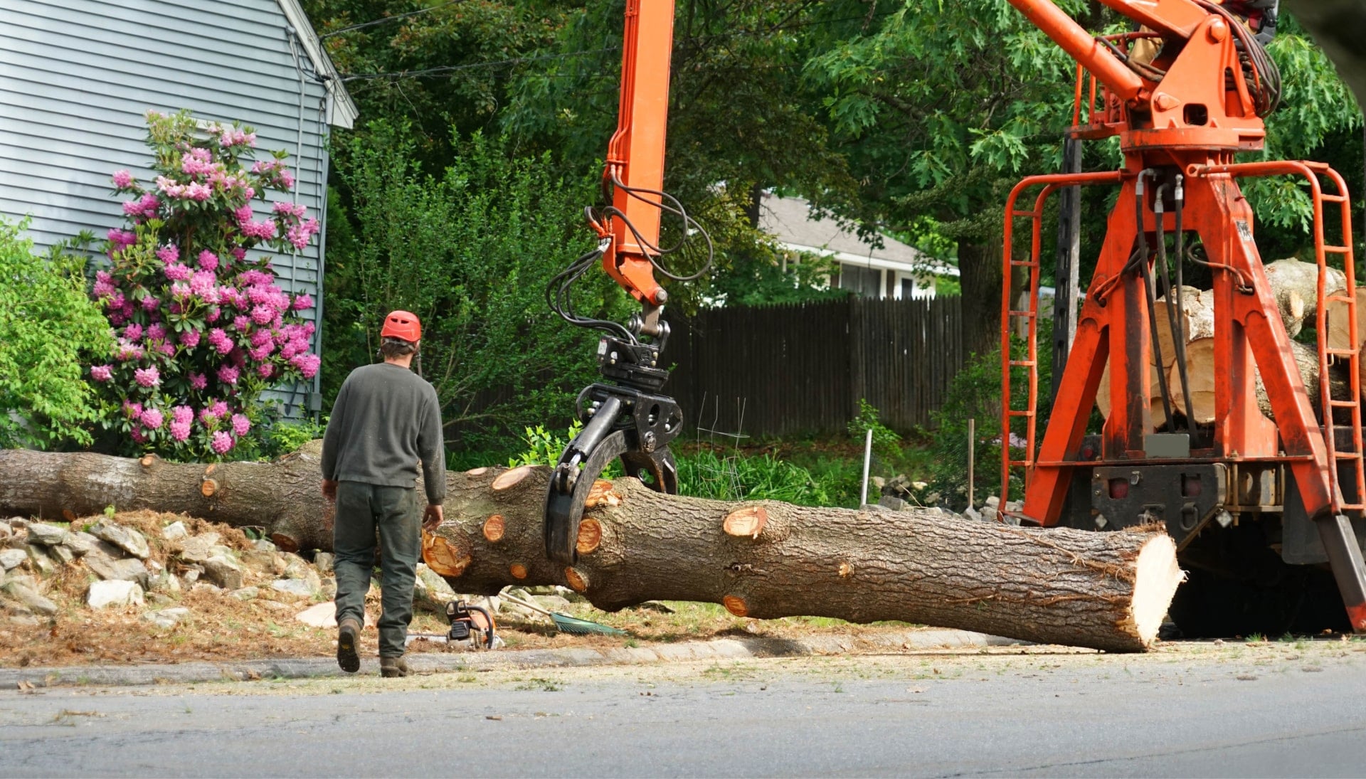 A tree knocked over by tree trimming professionals in Cumming, GA.